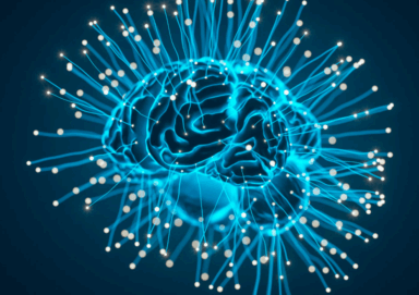 the aging brain the brain on alcohol 